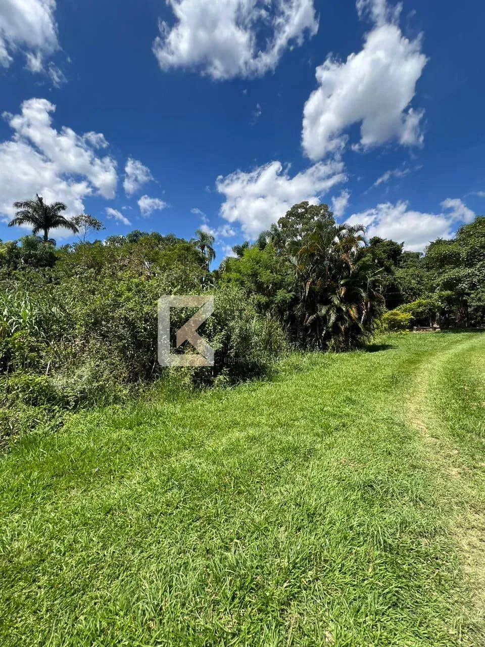 Fazenda, 3 hectares - Foto 83