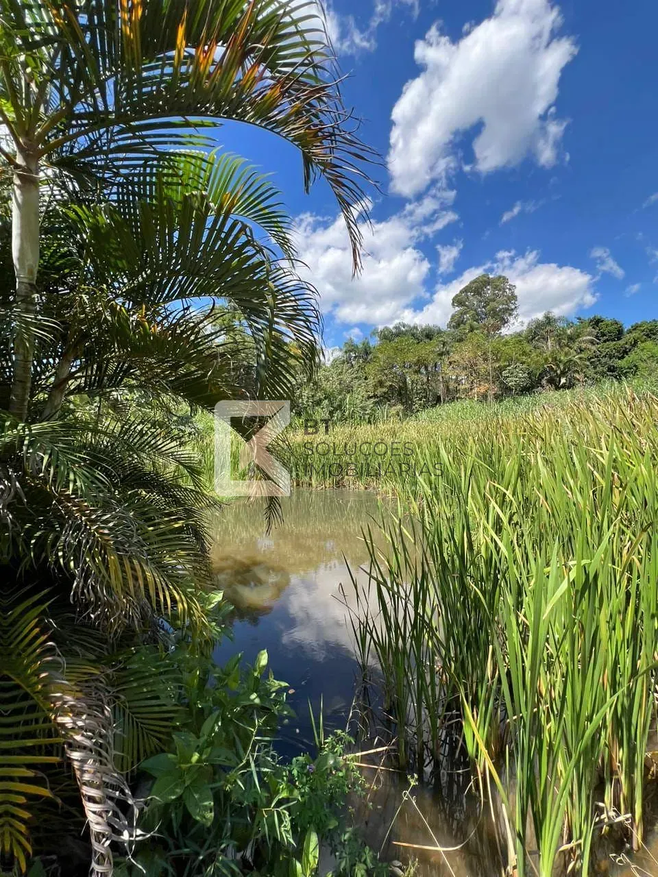 Fazenda, 3 hectares - Foto 85