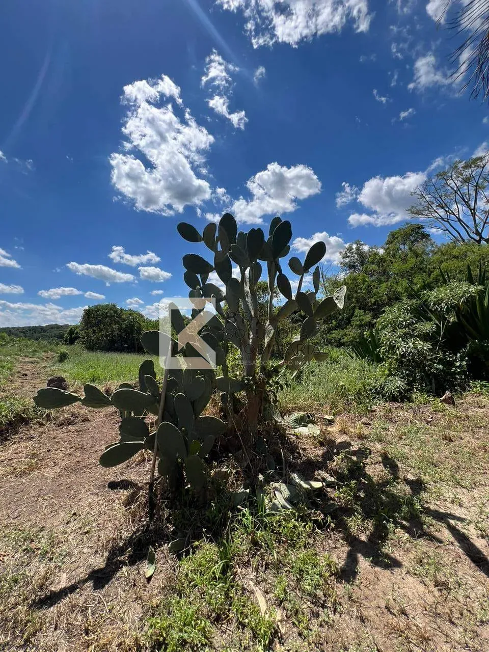 Fazenda, 3 hectares - Foto 86