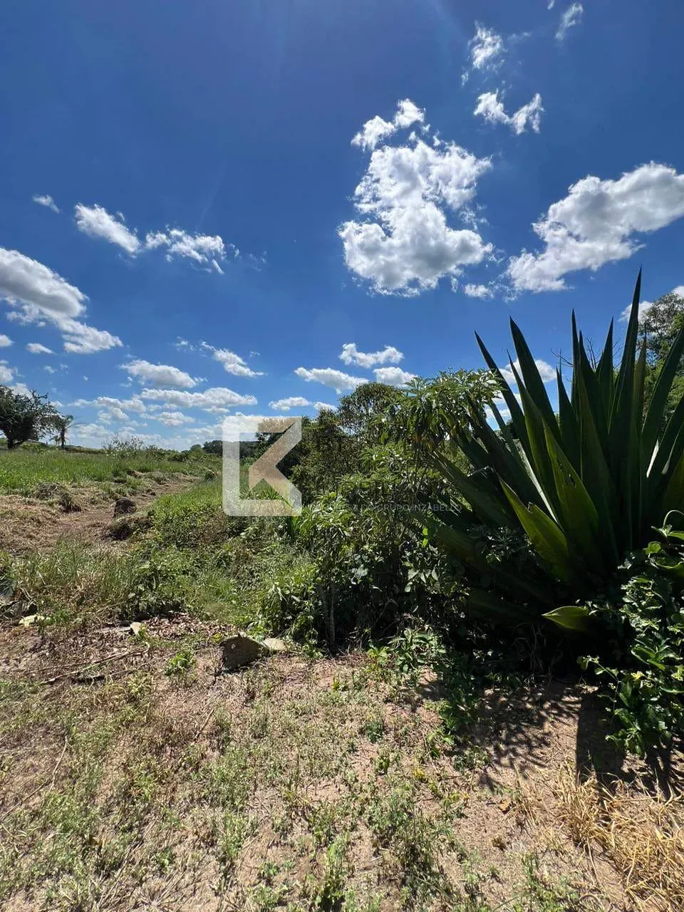 Fazenda, 3 hectares - Foto 88