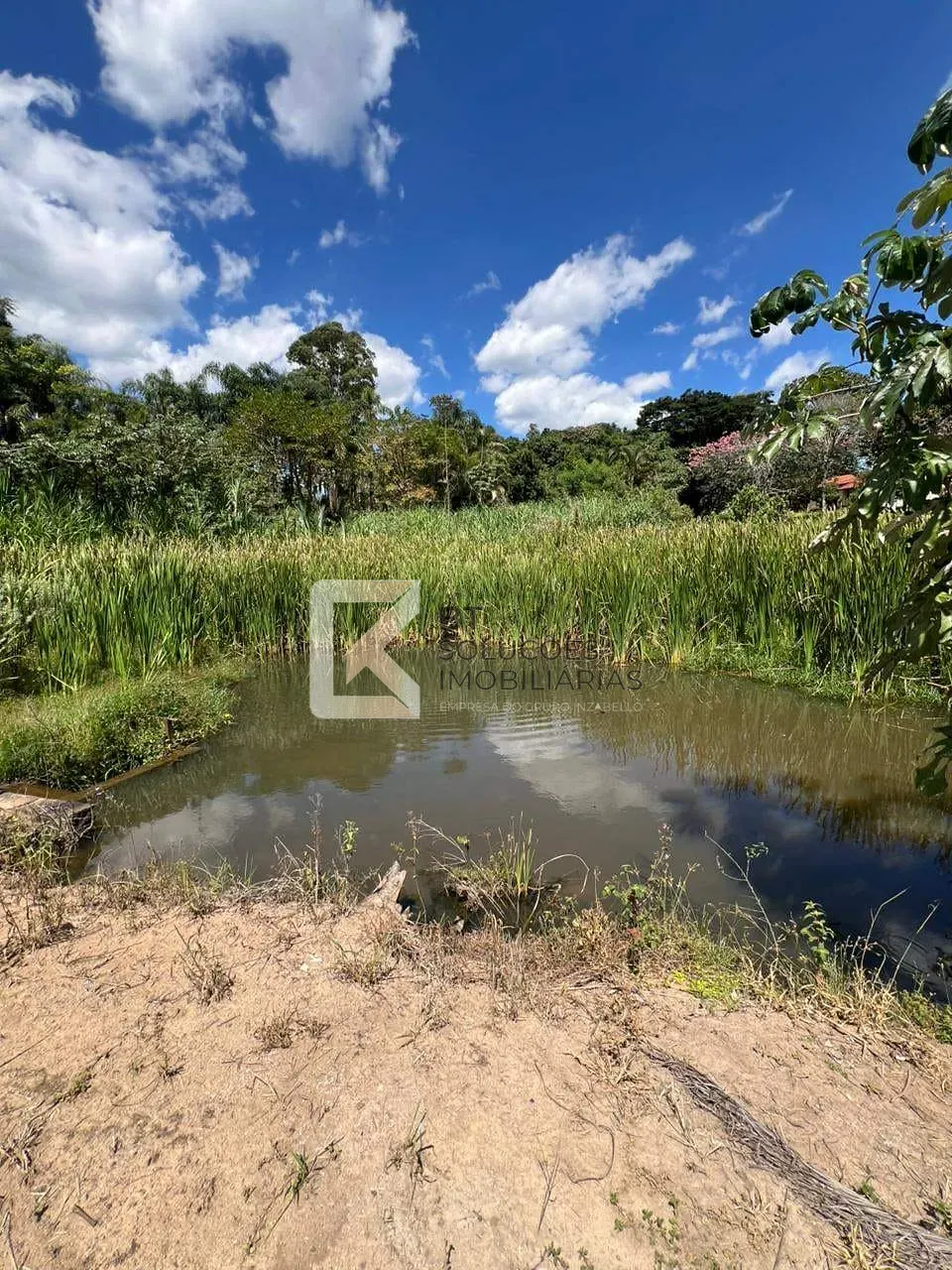 Fazenda, 3 hectares - Foto 90