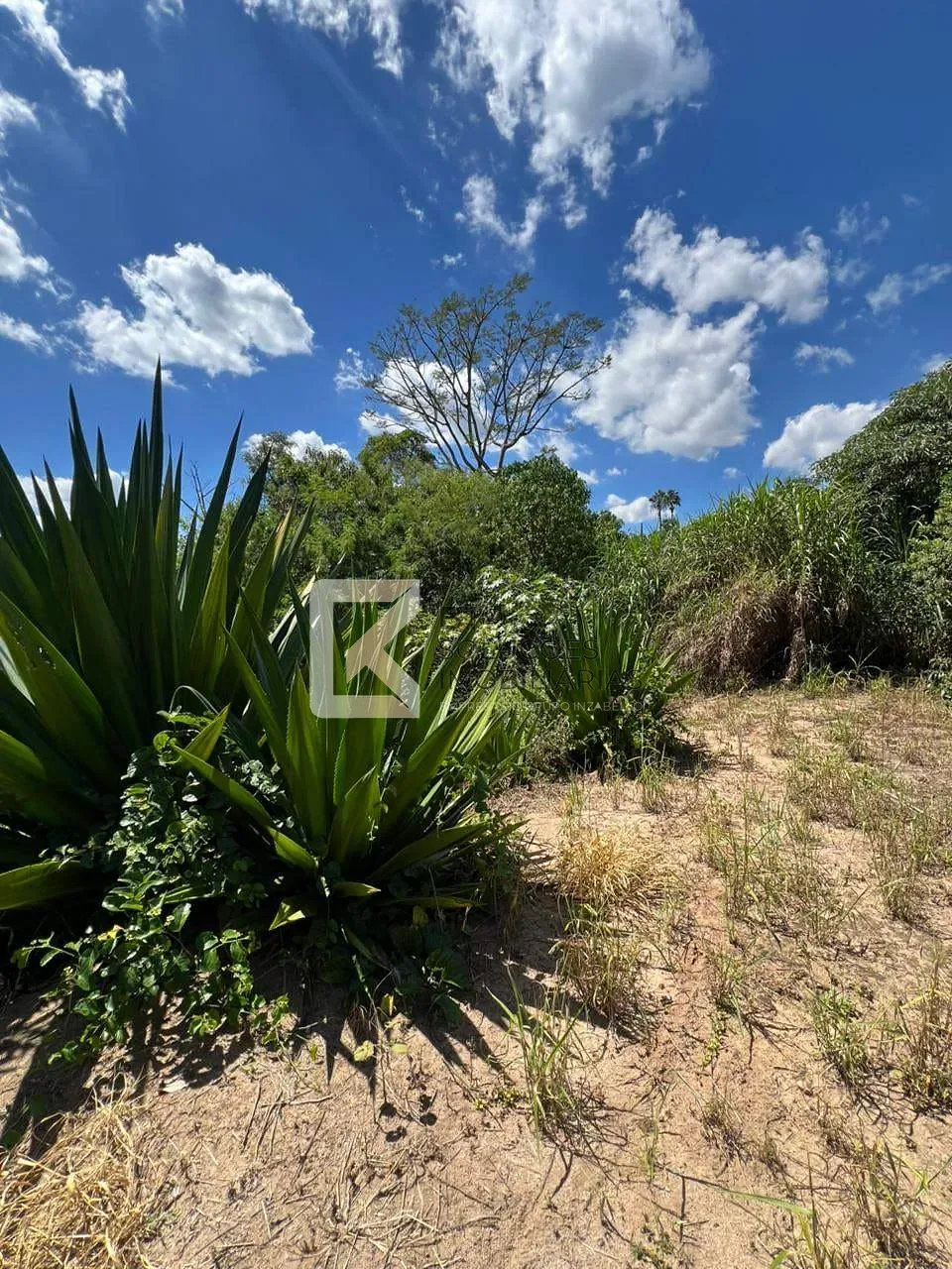 Fazenda, 3 hectares - Foto 91