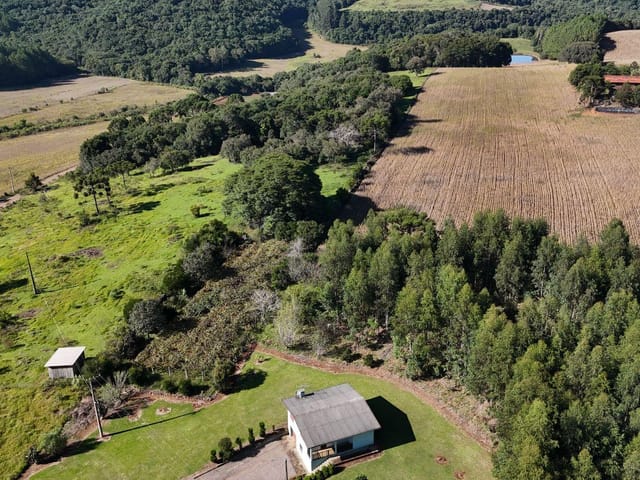 Sítio com 53000m² 3 quartos e 2 banheiros, à venda, no bairro gramado em Nova Prata