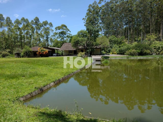 Foto do Sítio - Belíssimo Sítio a Venda na Cidade de Doutor Pedrinho - SC. | Imobiliária Hoje