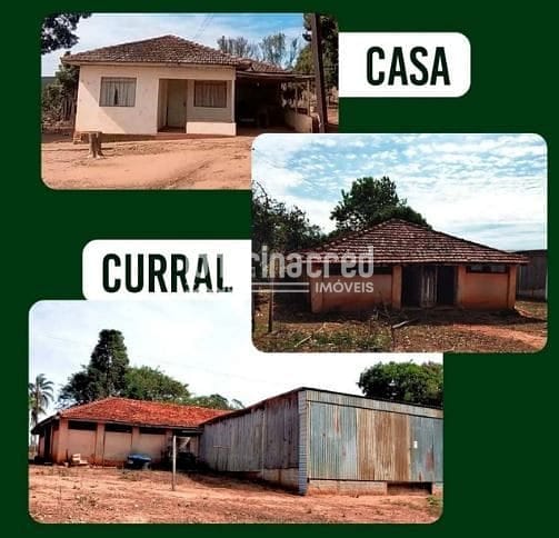 Fazenda, 12 hectares - Foto 7