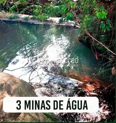 Fazenda, 12 hectares - Foto 2