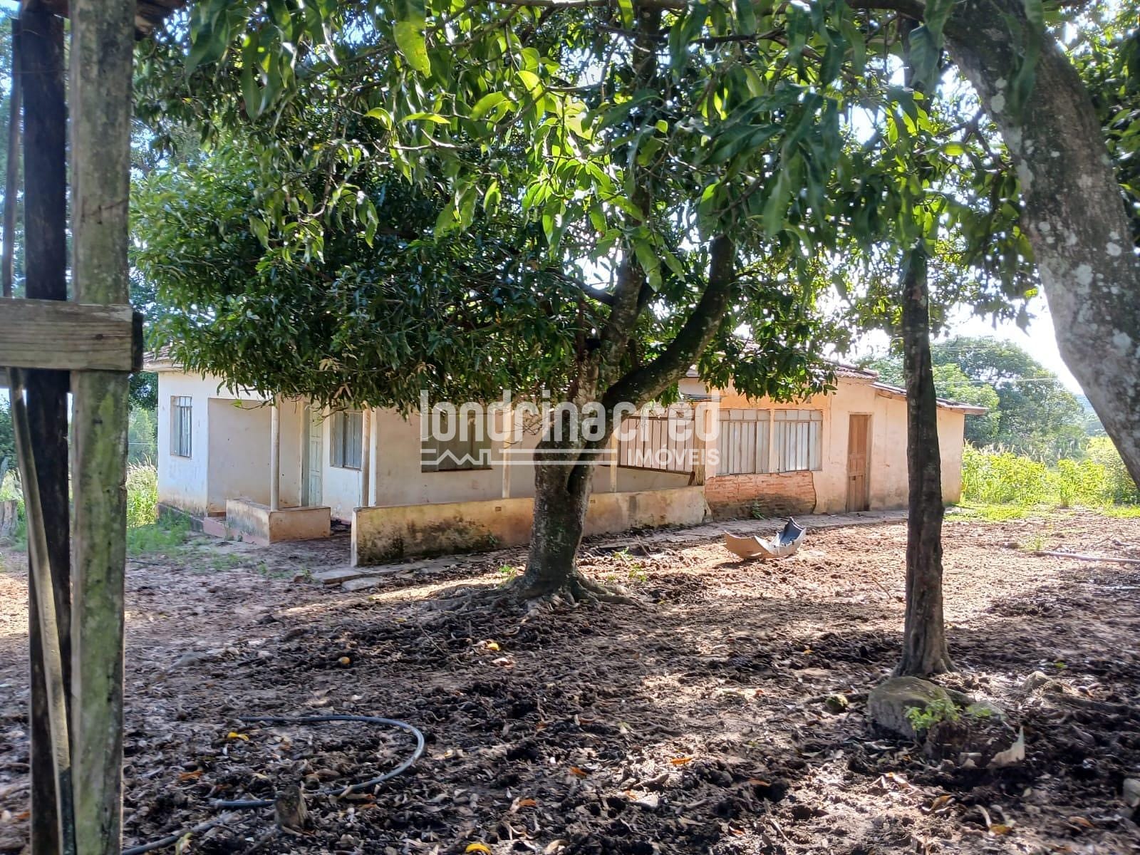 Fazenda, 12 hectares - Foto 6