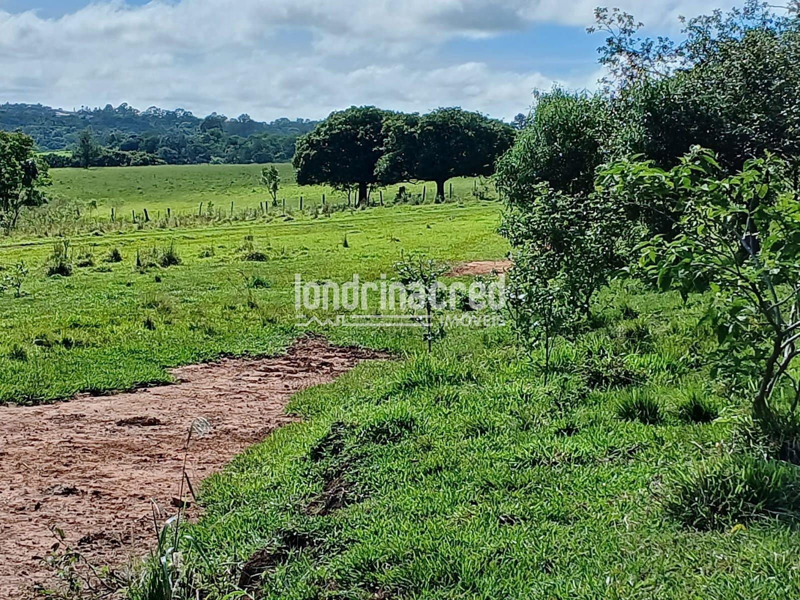 Fazenda, 12 hectares - Foto 9