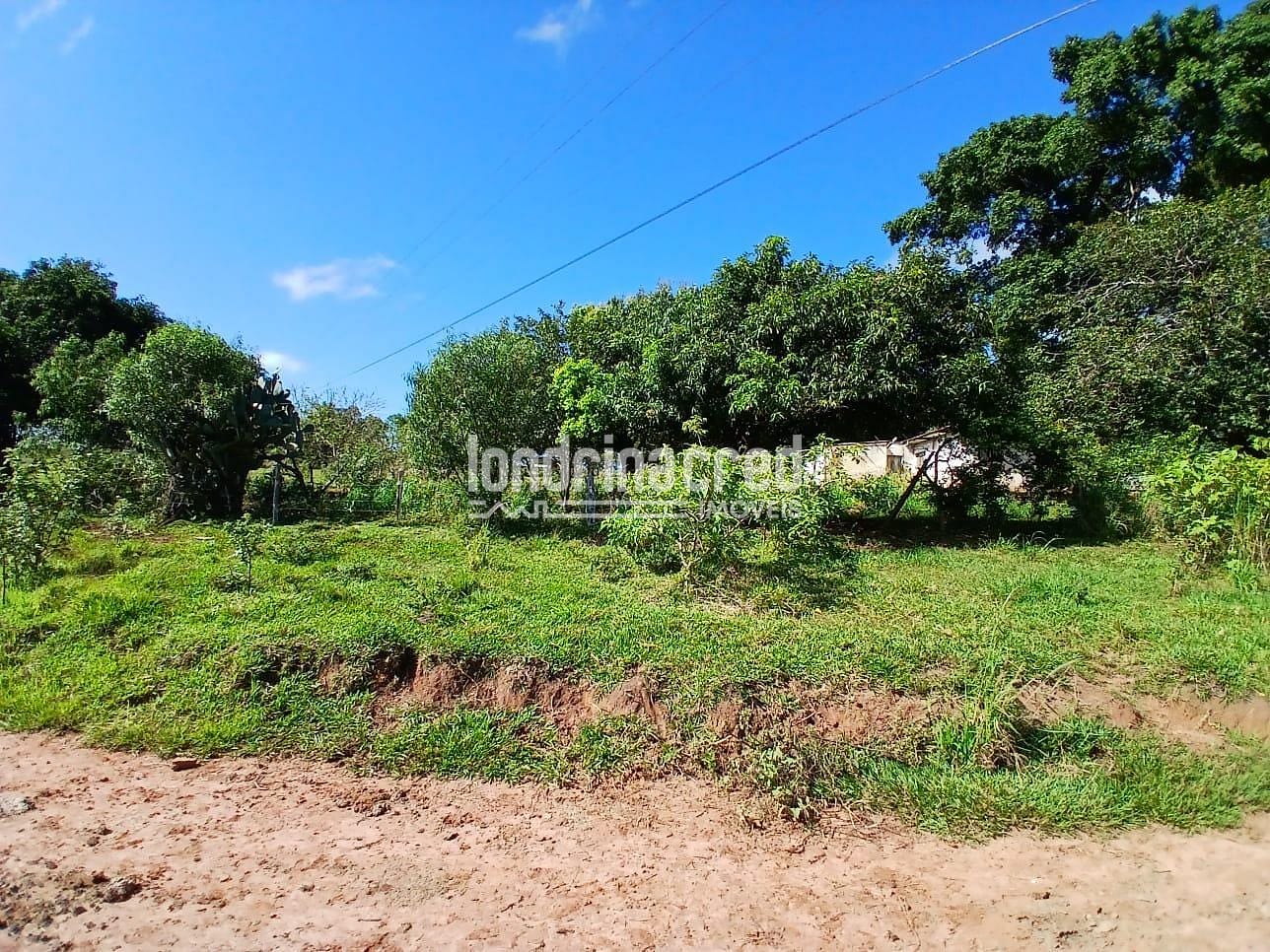 Fazenda, 12 hectares - Foto 10