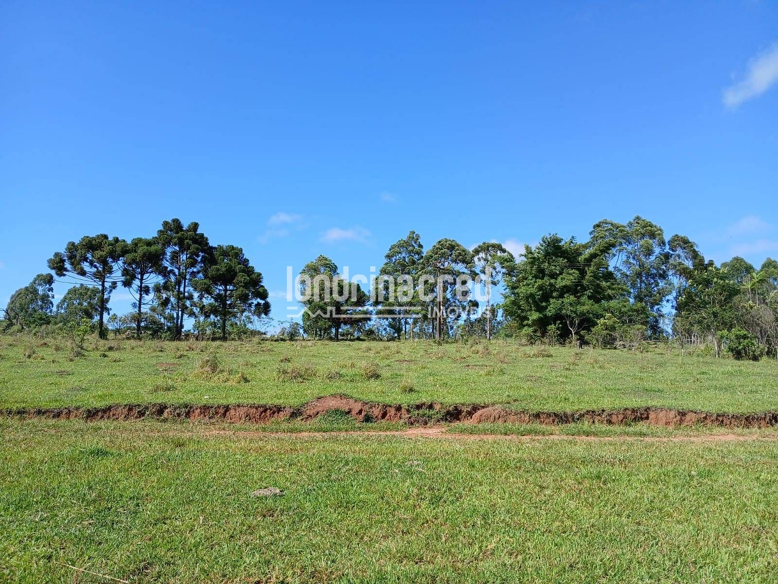 Fazenda, 12 hectares - Foto 14