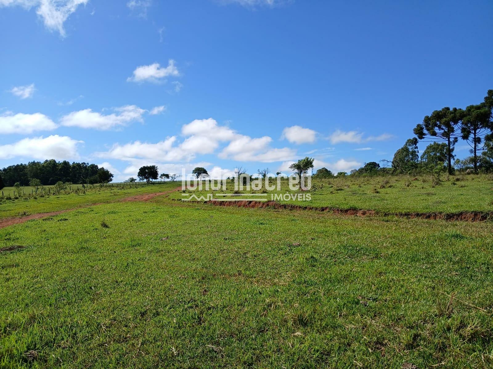 Fazenda, 12 hectares - Foto 15