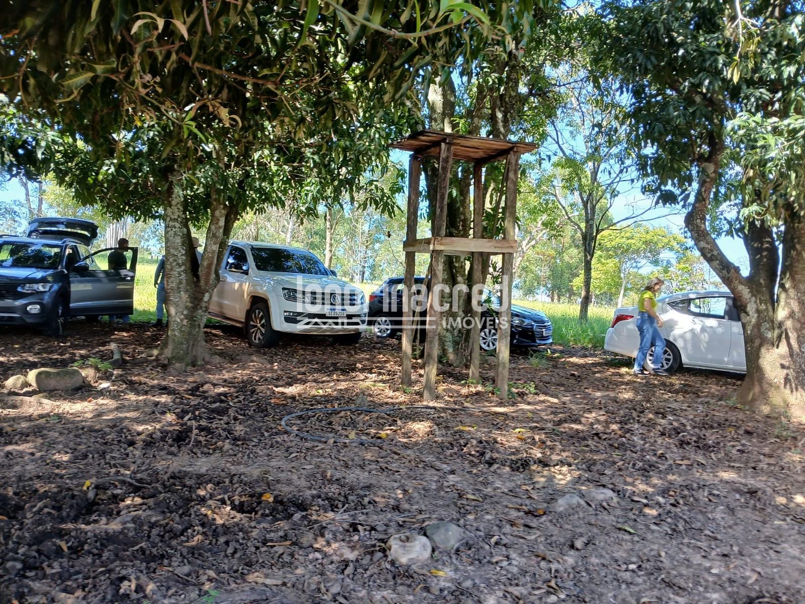 Fazenda, 12 hectares - Foto 18