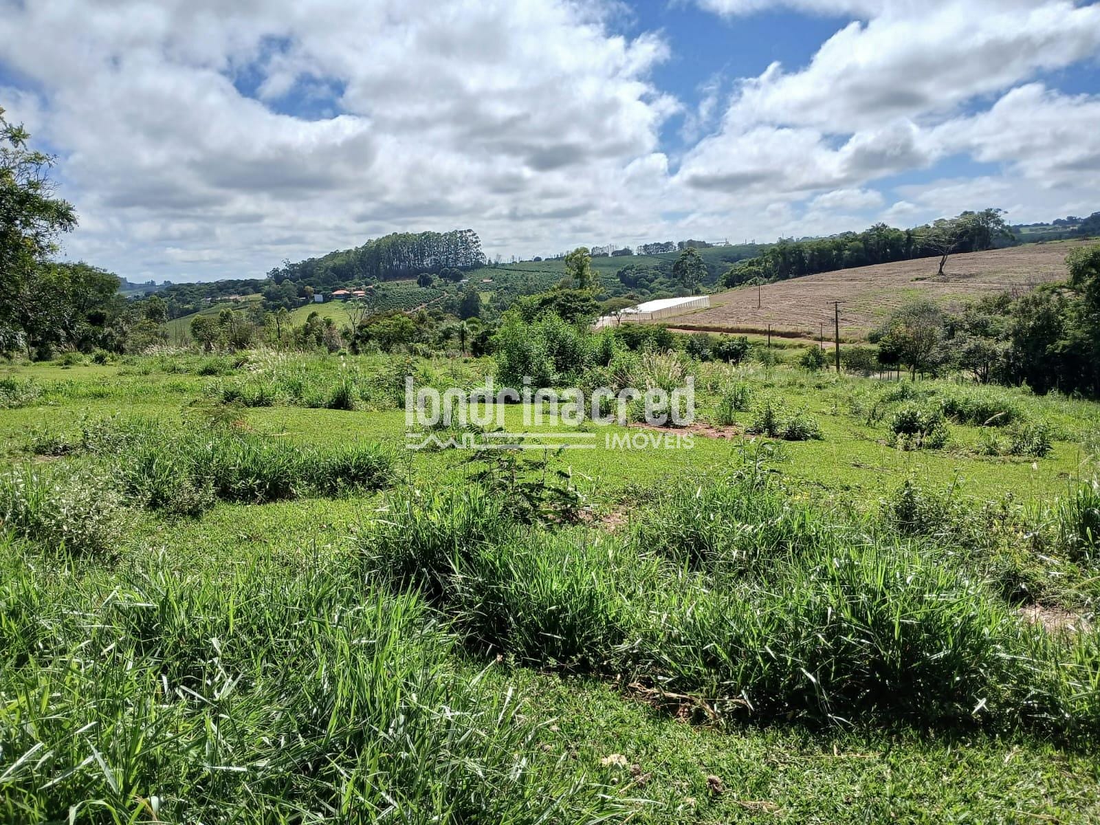 Fazenda, 12 hectares - Foto 19