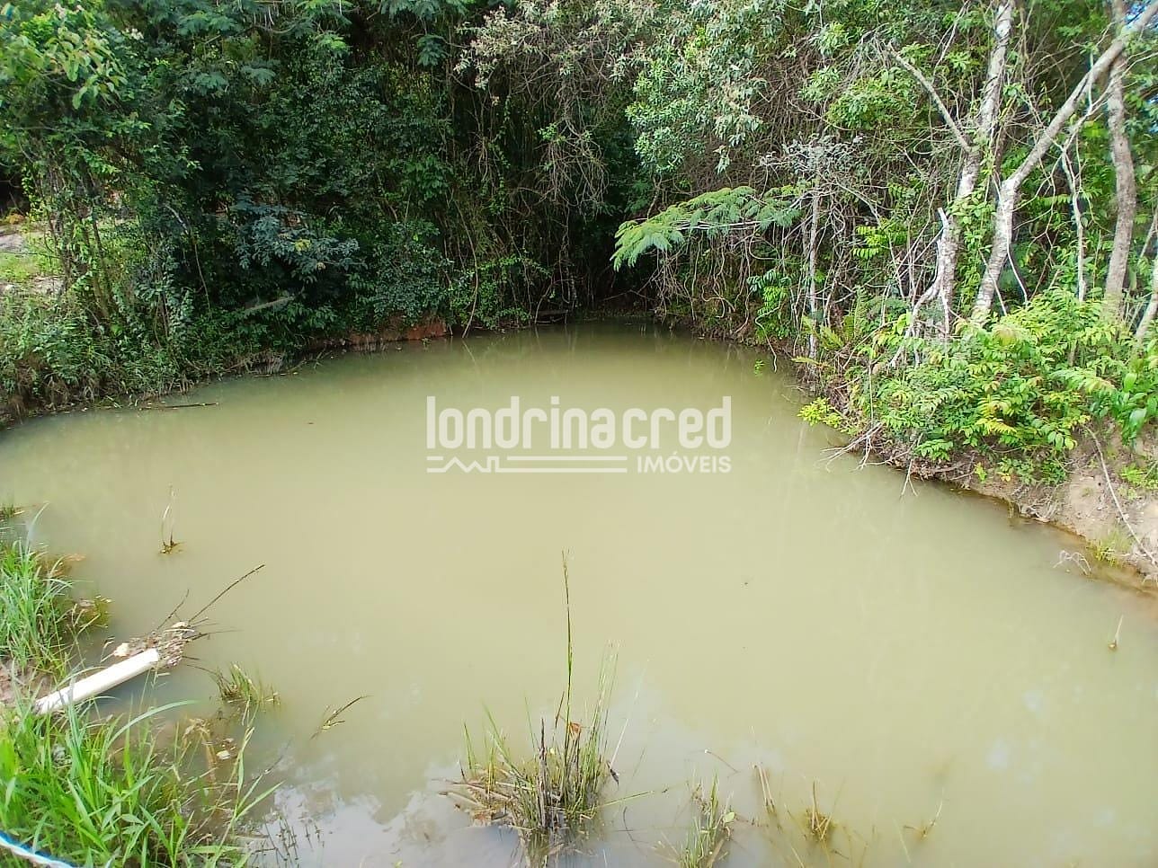 Fazenda, 12 hectares - Foto 22