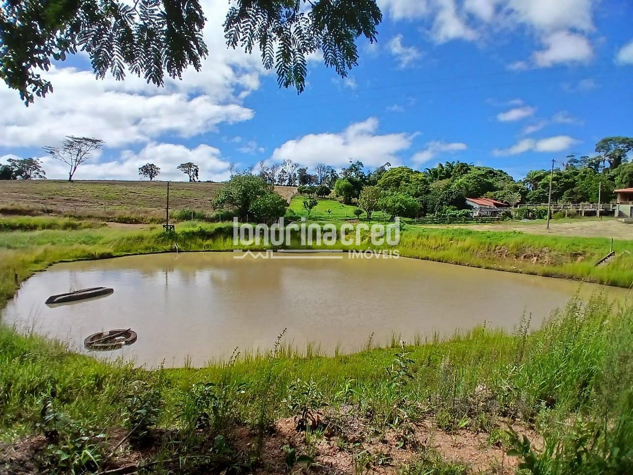 Fazenda, 12 hectares - Foto 24