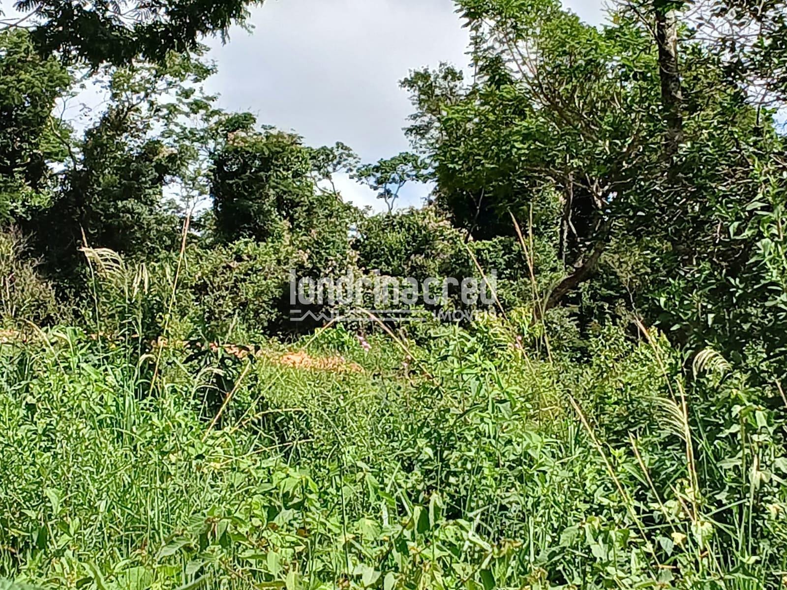 Fazenda, 12 hectares - Foto 27