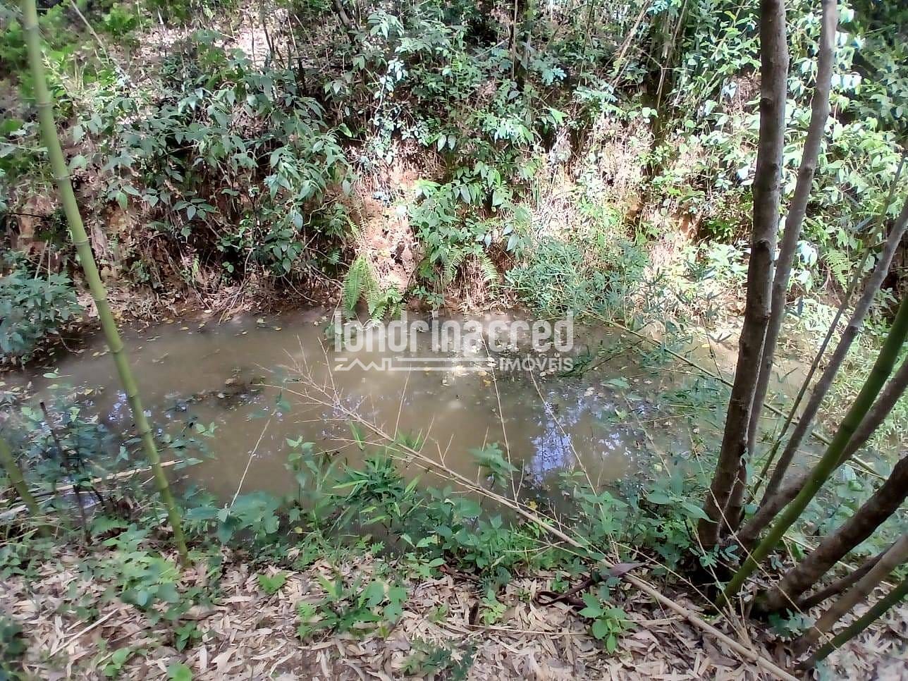 Fazenda, 12 hectares - Foto 28