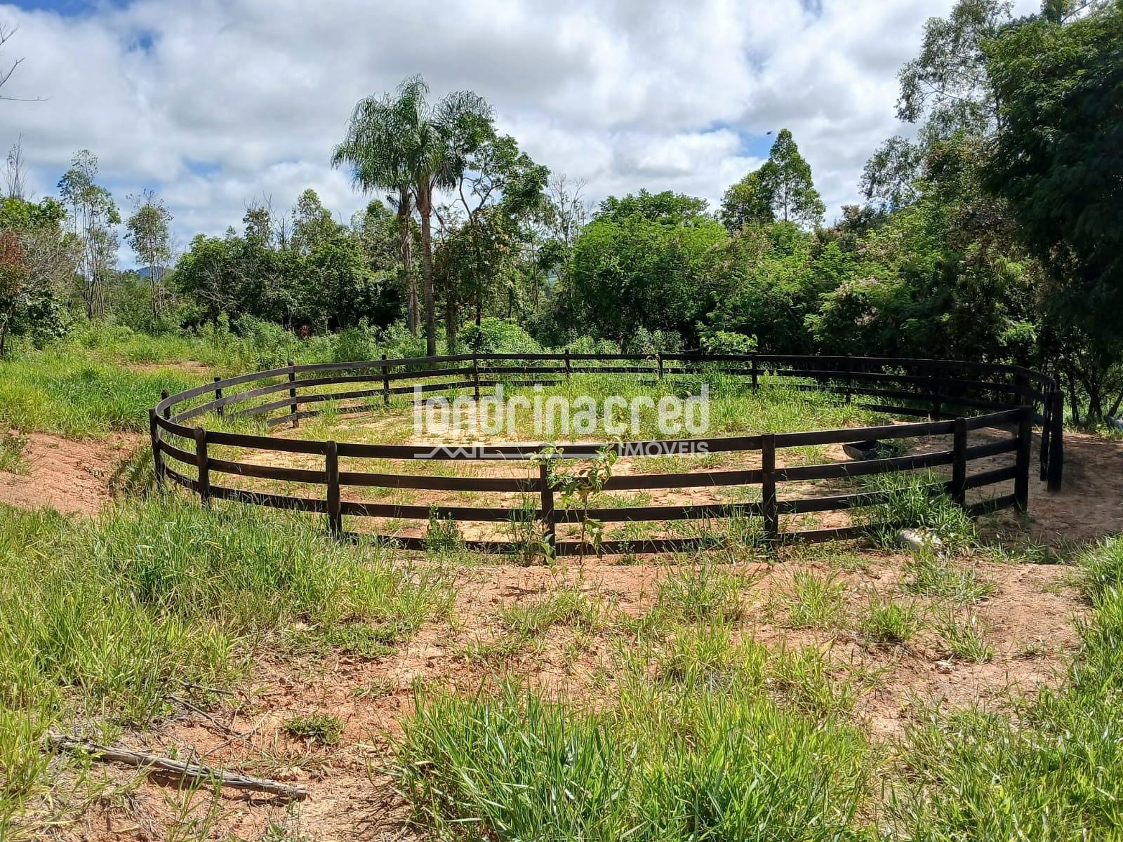 Fazenda, 12 hectares - Foto 11