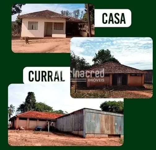 Fazenda, 12 hectares - Foto 7