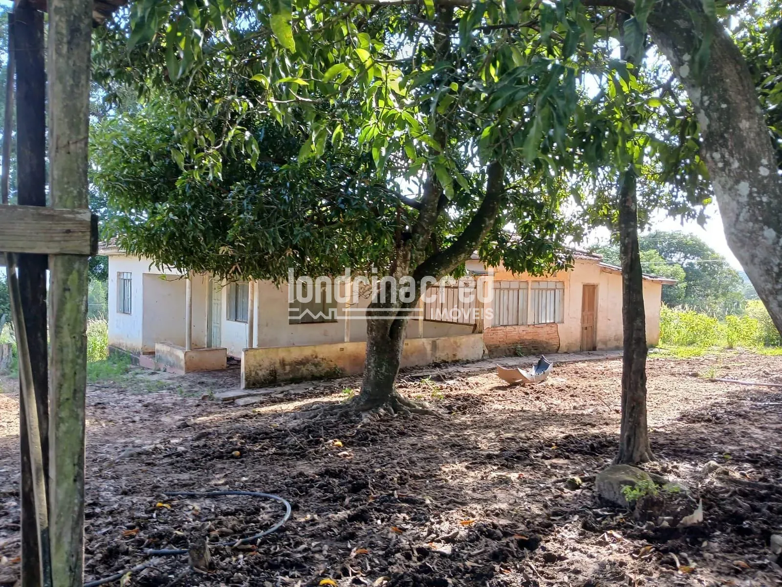 Fazenda, 12 hectares - Foto 6