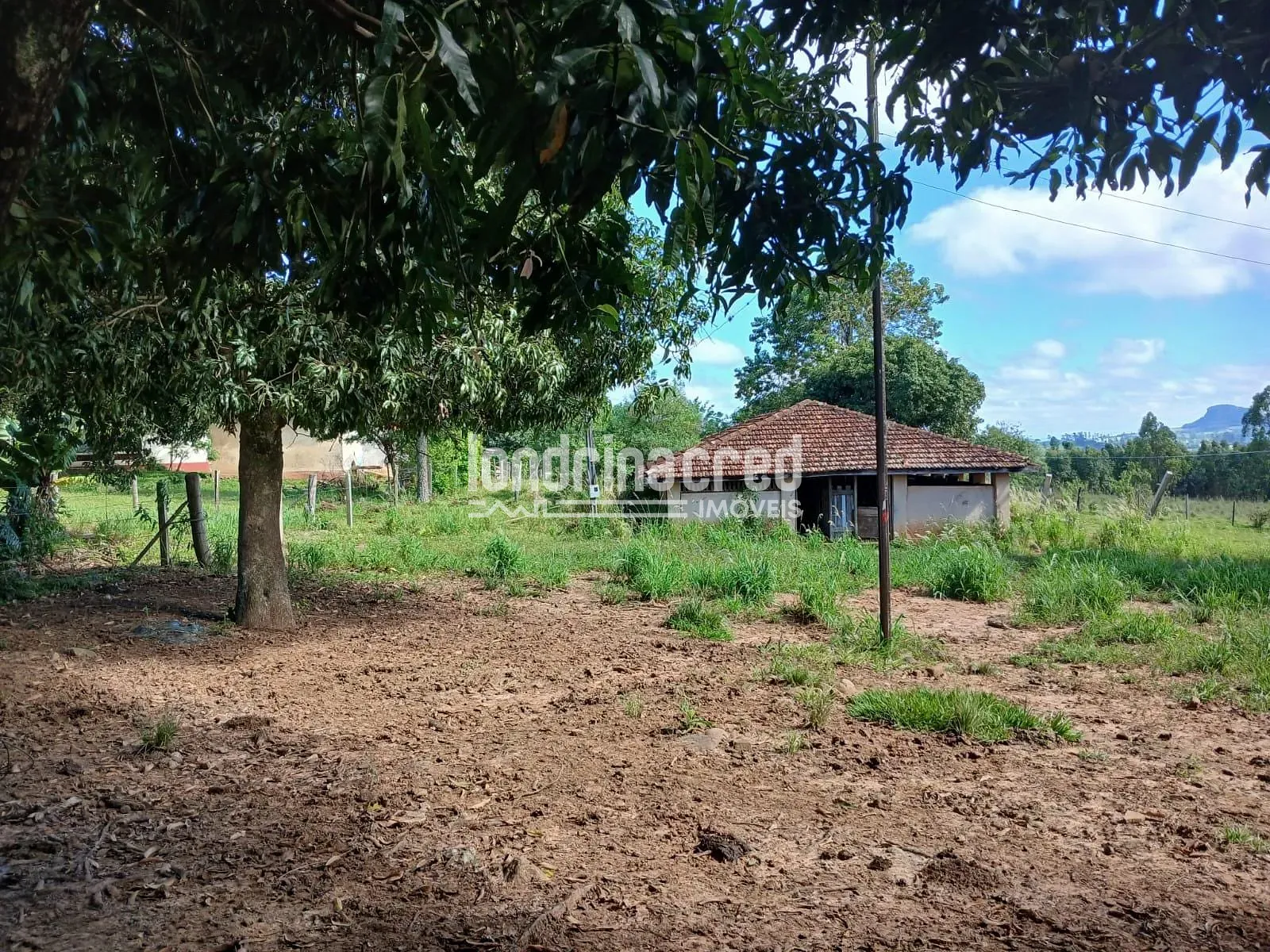 Fazenda, 12 hectares - Foto 1