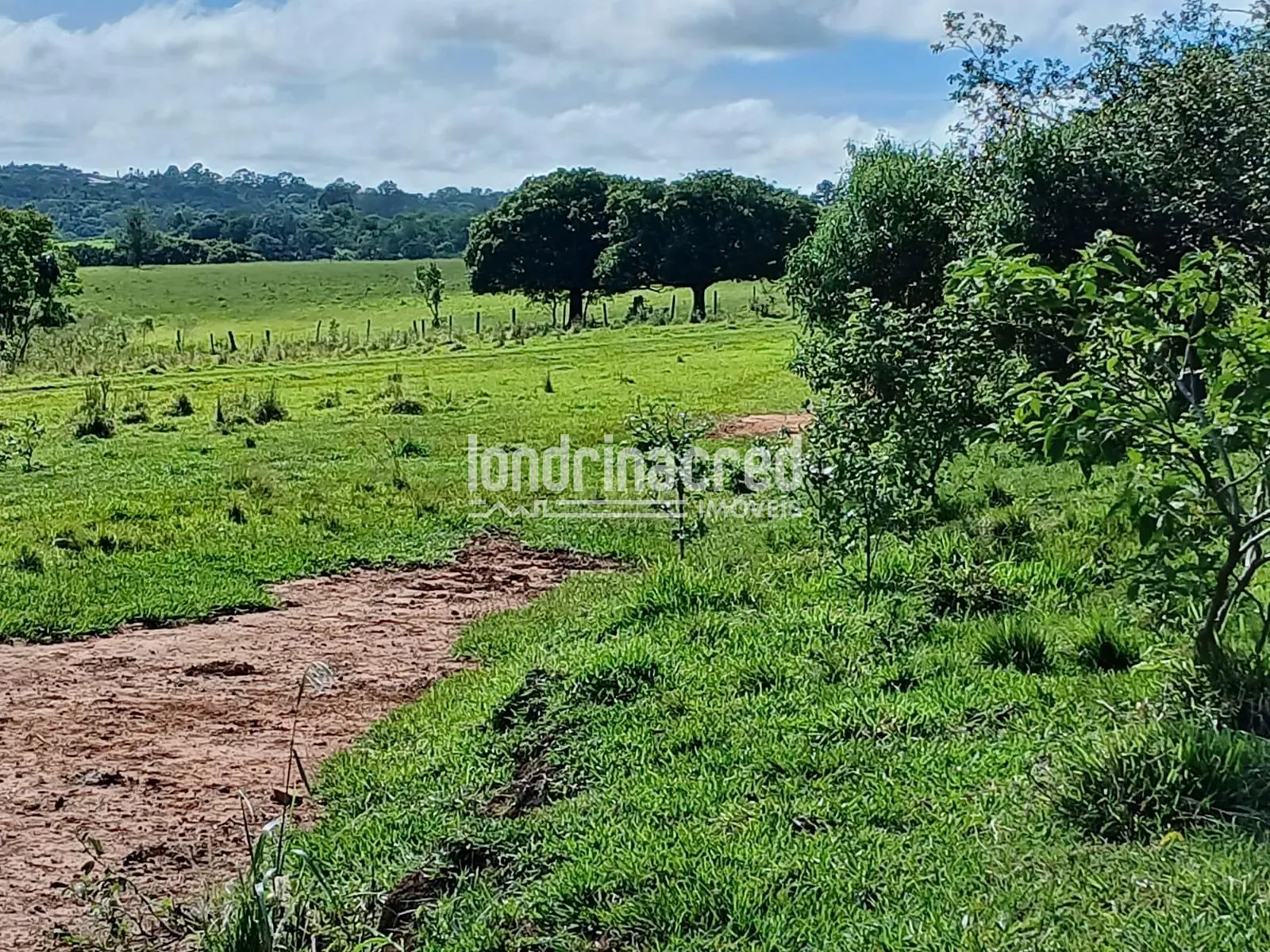 Fazenda, 12 hectares - Foto 9