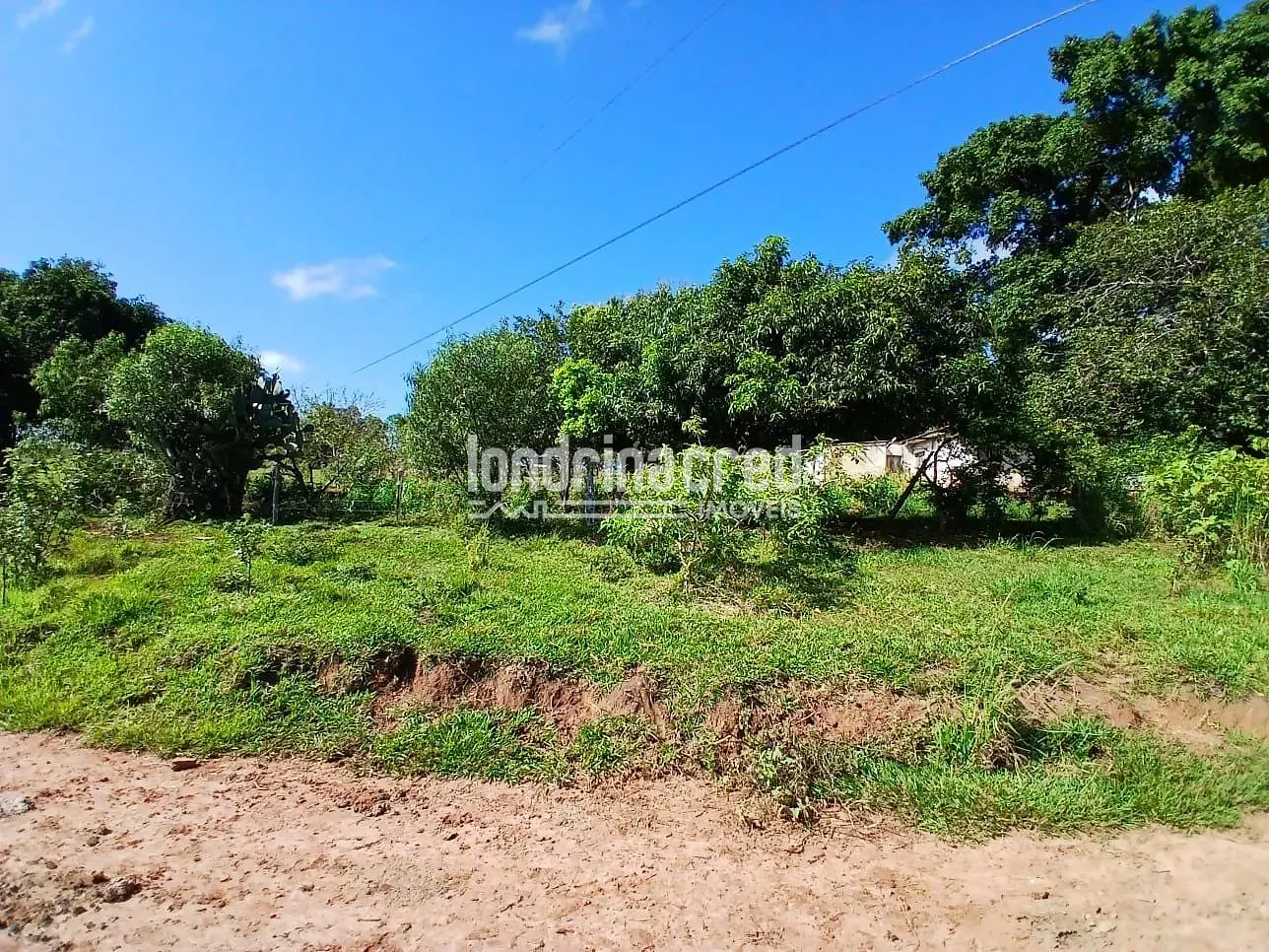 Fazenda, 12 hectares - Foto 10