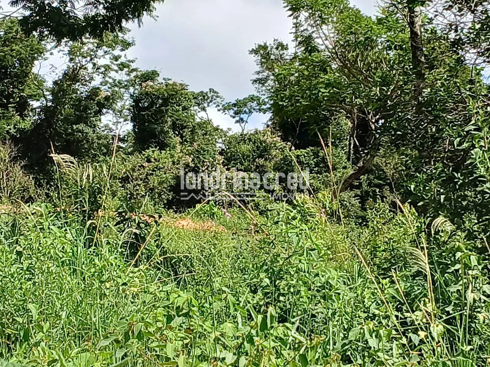 Fazenda, 12 hectares - Foto 27
