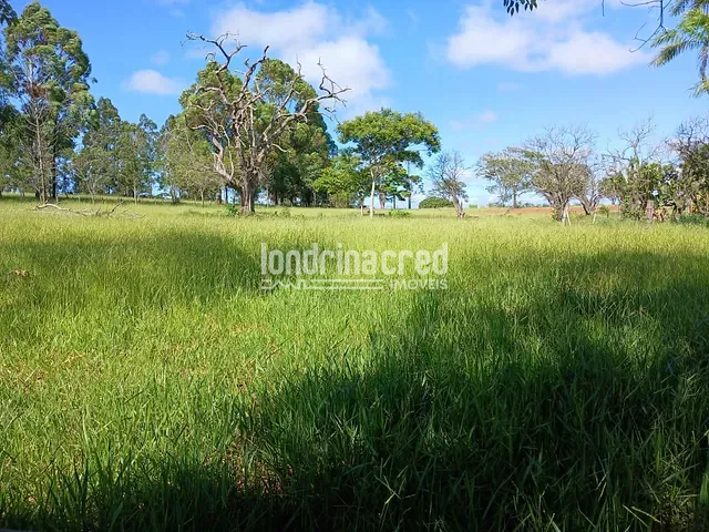 Sítio com 115000m², à venda, no bairro Flamenguinho em Ibaiti