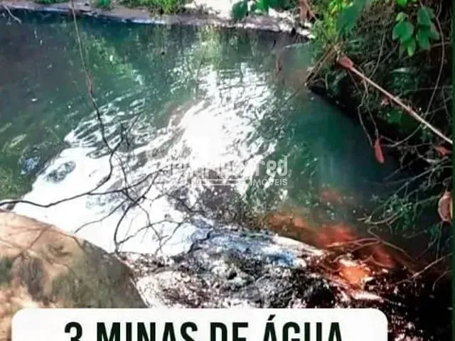 Sítio com 115000m², à venda, no bairro Flamenguinho em Ibaiti