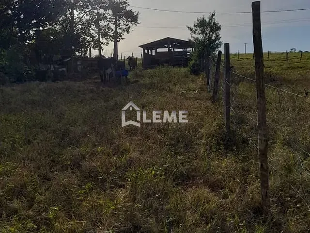 Sítio com 121000m², à venda, no bairro Vila Lambari em Mococa