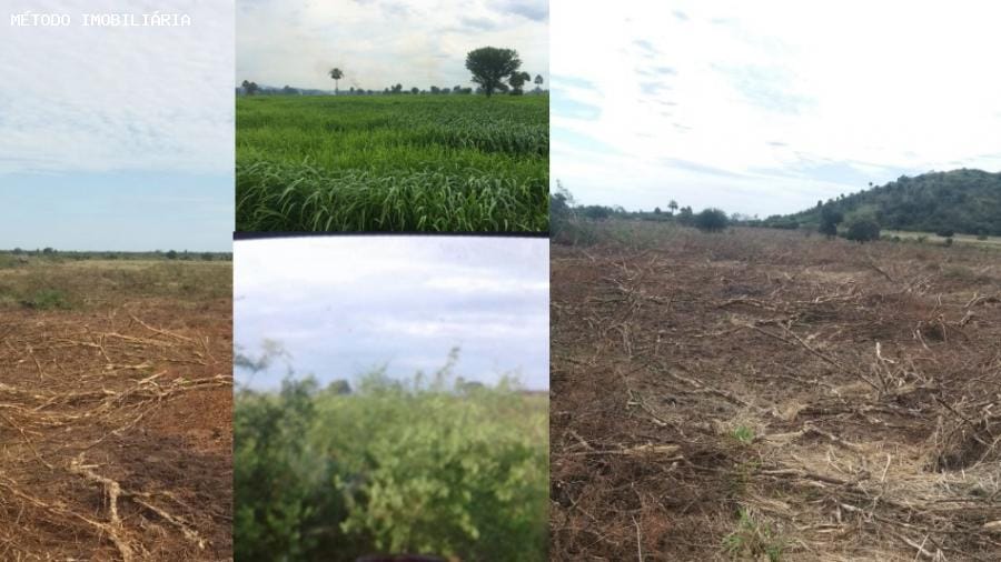 https://static.arboimoveis.com.br/SI0007_METODO/fazenda-para-venda-em-porto-murtinho-rural1621446478146dwmhk.jpg