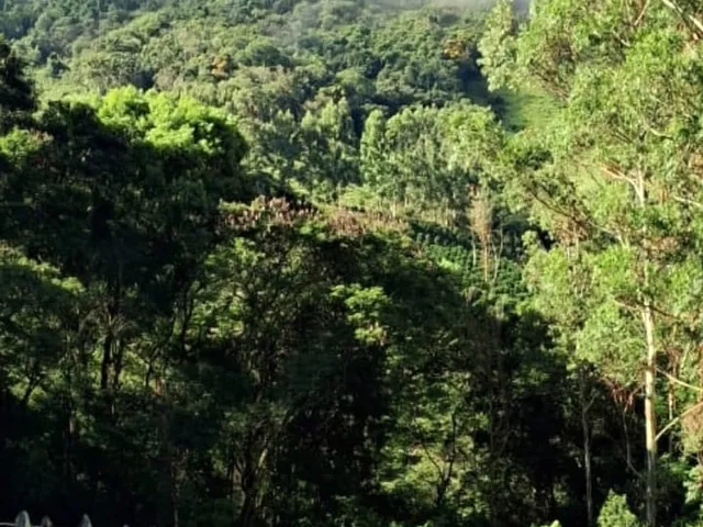 Sítio com 85000m² 1 quarto e 2 banheiros, à venda, no bairro Morangal em Virgínia
