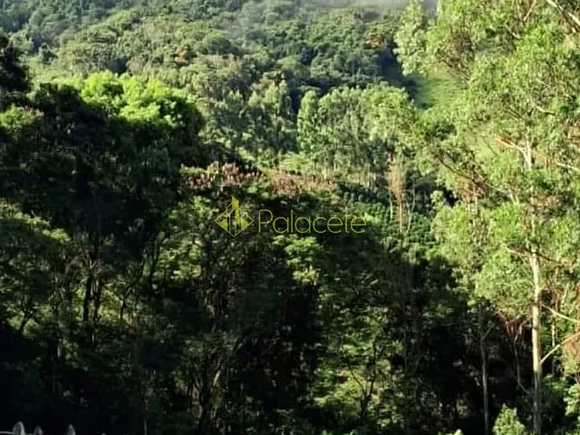 Sítio com 85000m² 1 quarto e 2 banheiros, à venda, no bairro Morangal em Virgínia
