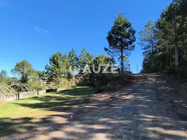 Sítio com 400m² 4 quartos e 2 banheiros, à venda, no bairro Matulão em Tijucas Do Sul