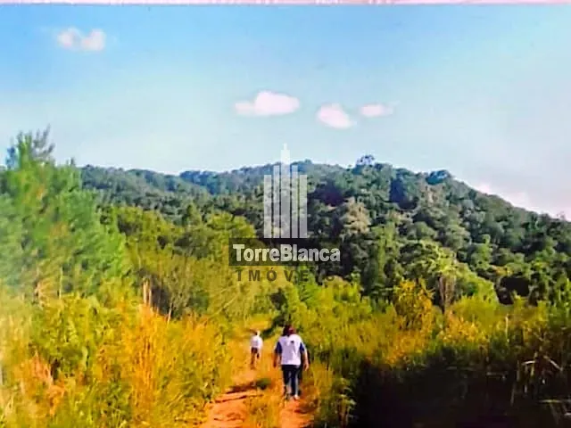 Sítio à venda, no bairro ZONA RURAL em Barra do Chapéu