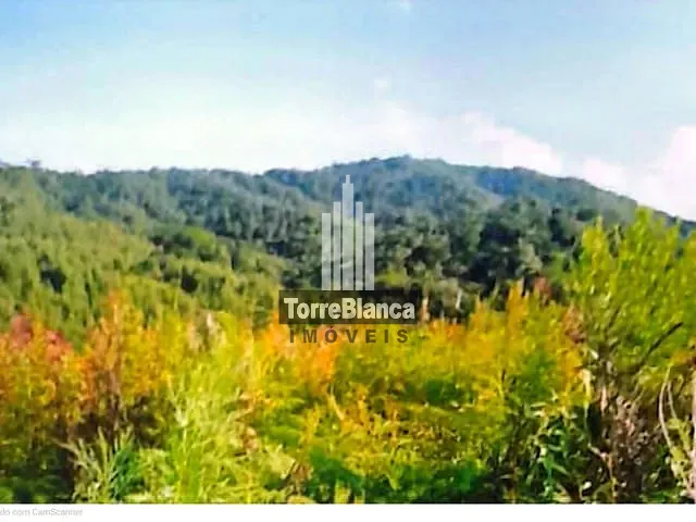 Sítio à venda, no bairro ZONA RURAL em Barra do Chapéu