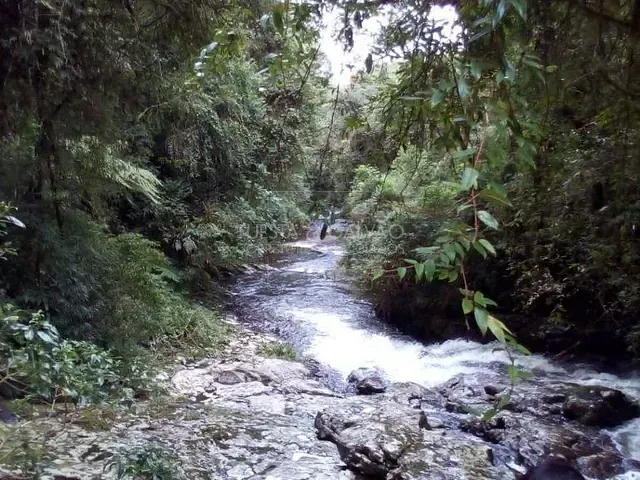 Sítio com 1m², à venda, no bairro Contenda em São José Dos Pinhais