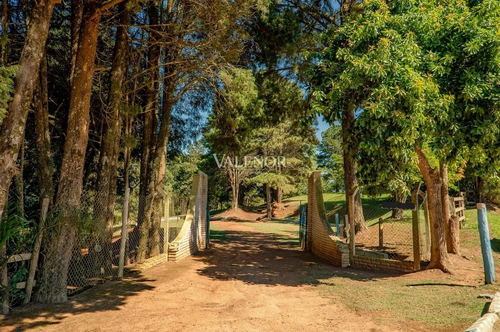 Fazenda, 11 hectares - Foto 19