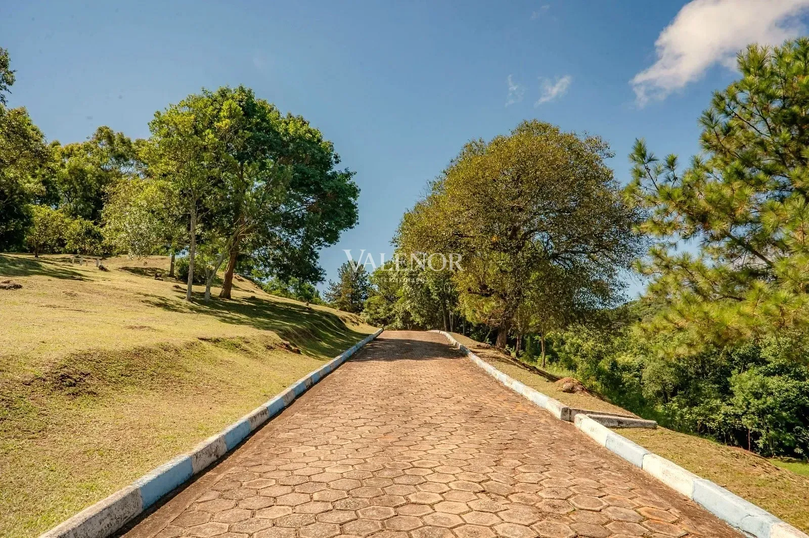 Fazenda, 11 hectares - Foto 20