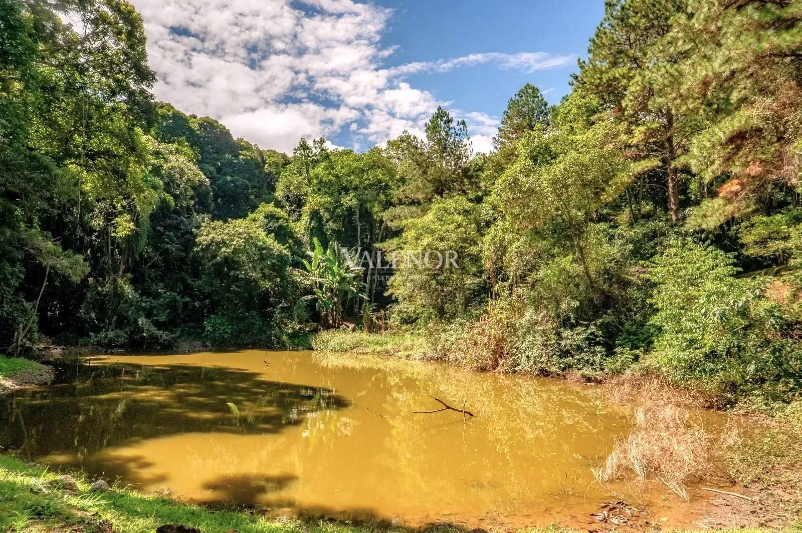 Fazenda, 11 hectares - Foto 26