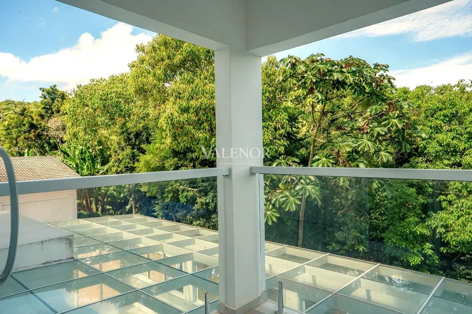 Fazenda, 11 hectares - Foto 47