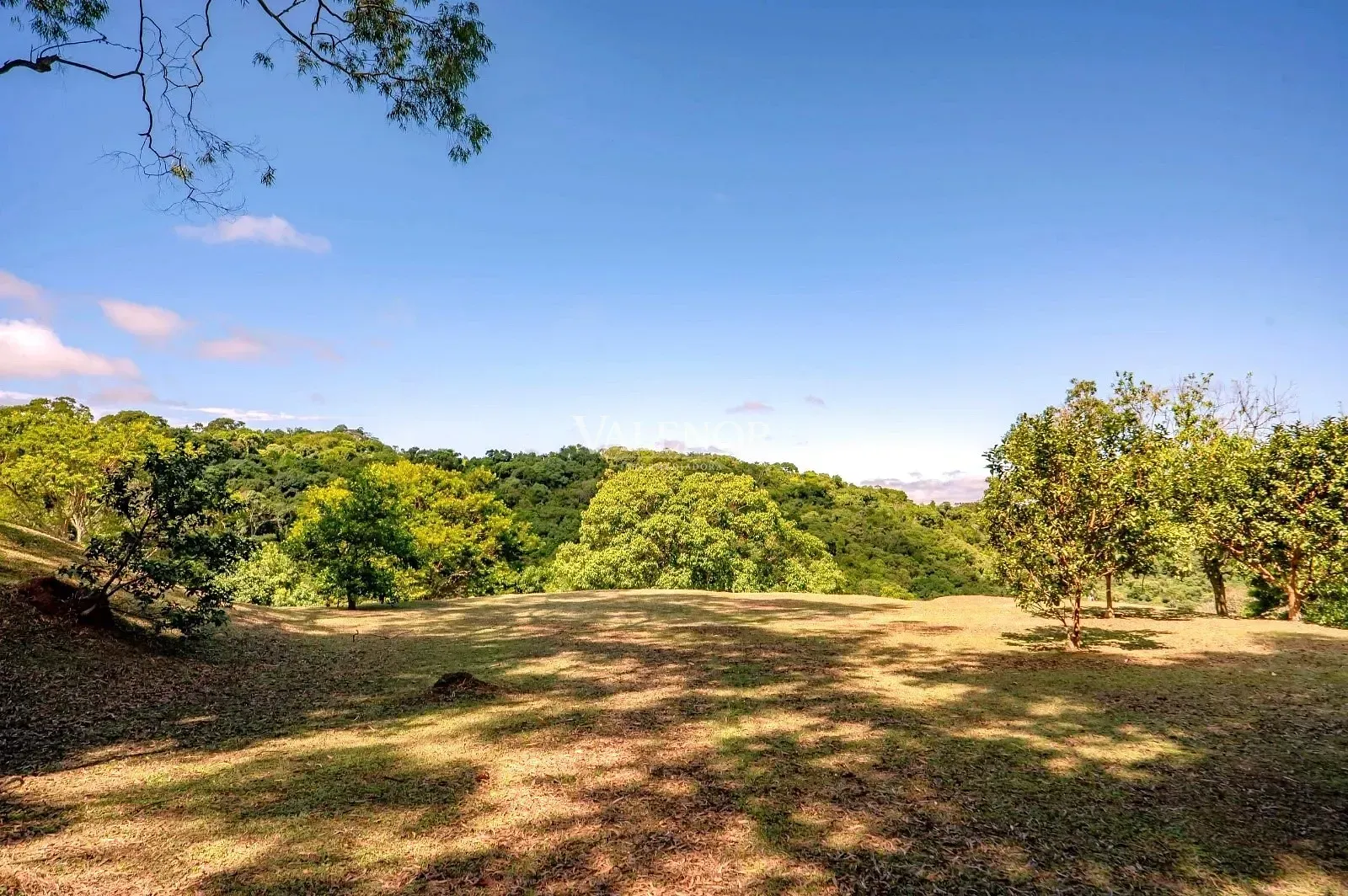 Fazenda, 11 hectares - Foto 31