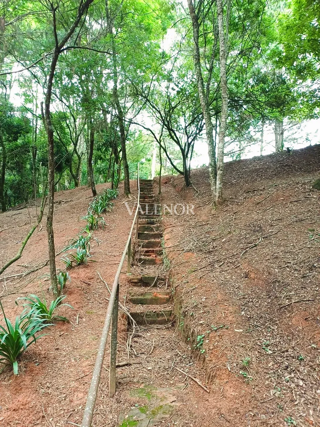 Fazenda, 11 hectares - Foto 36