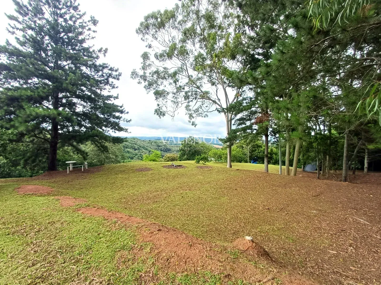 Fazenda, 11 hectares - Foto 34