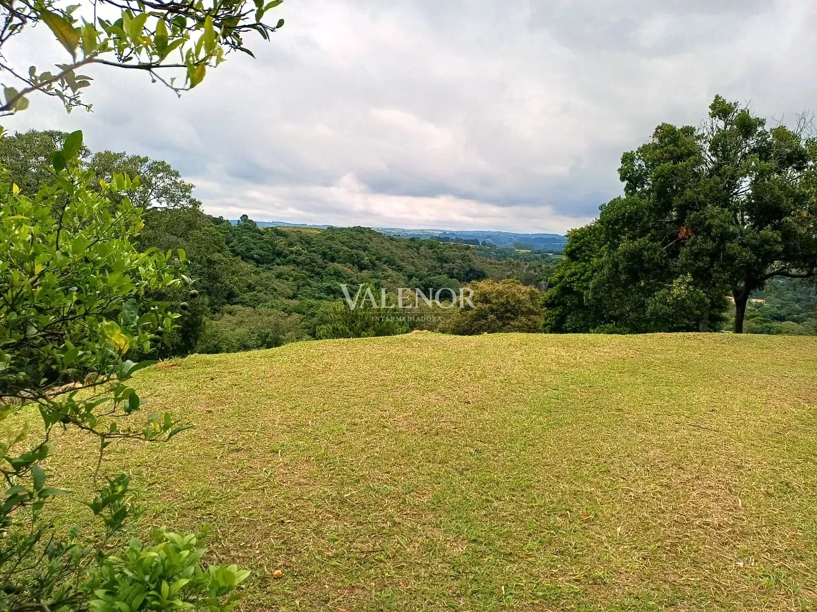 Fazenda, 11 hectares - Foto 28