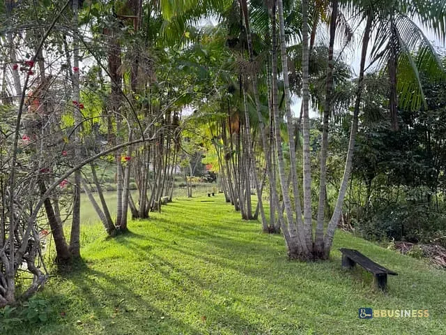 Sítio com 200m² 3 quartos e 3 banheiros, à venda, no bairro BAGRE em Belo Oriente