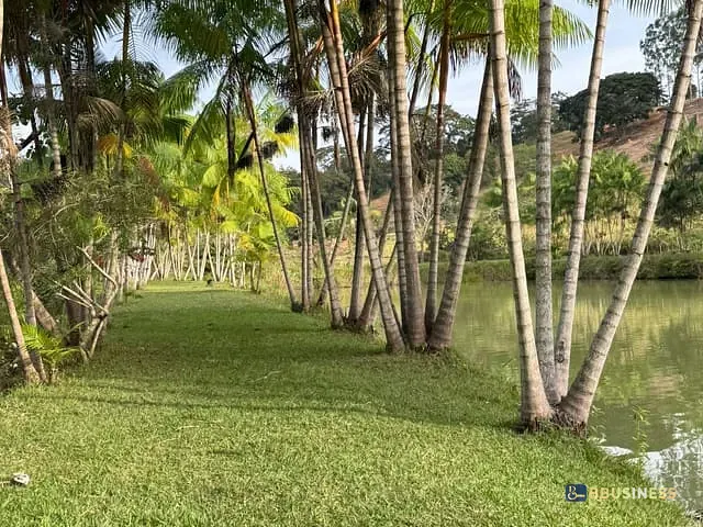 Sítio com 200m² 3 quartos e 3 banheiros, à venda, no bairro BAGRE em Belo Oriente