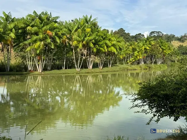 Sítio com 200m² 3 quartos e 3 banheiros, à venda, no bairro BAGRE em Belo Oriente