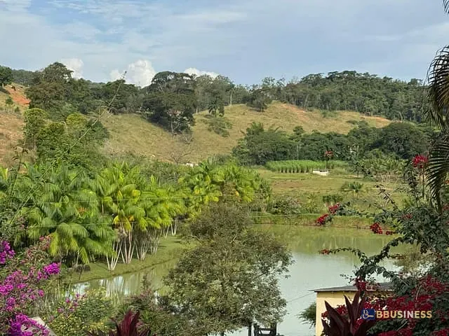 Sítio com 200m² 3 quartos e 3 banheiros, à venda, no bairro BAGRE em Belo Oriente